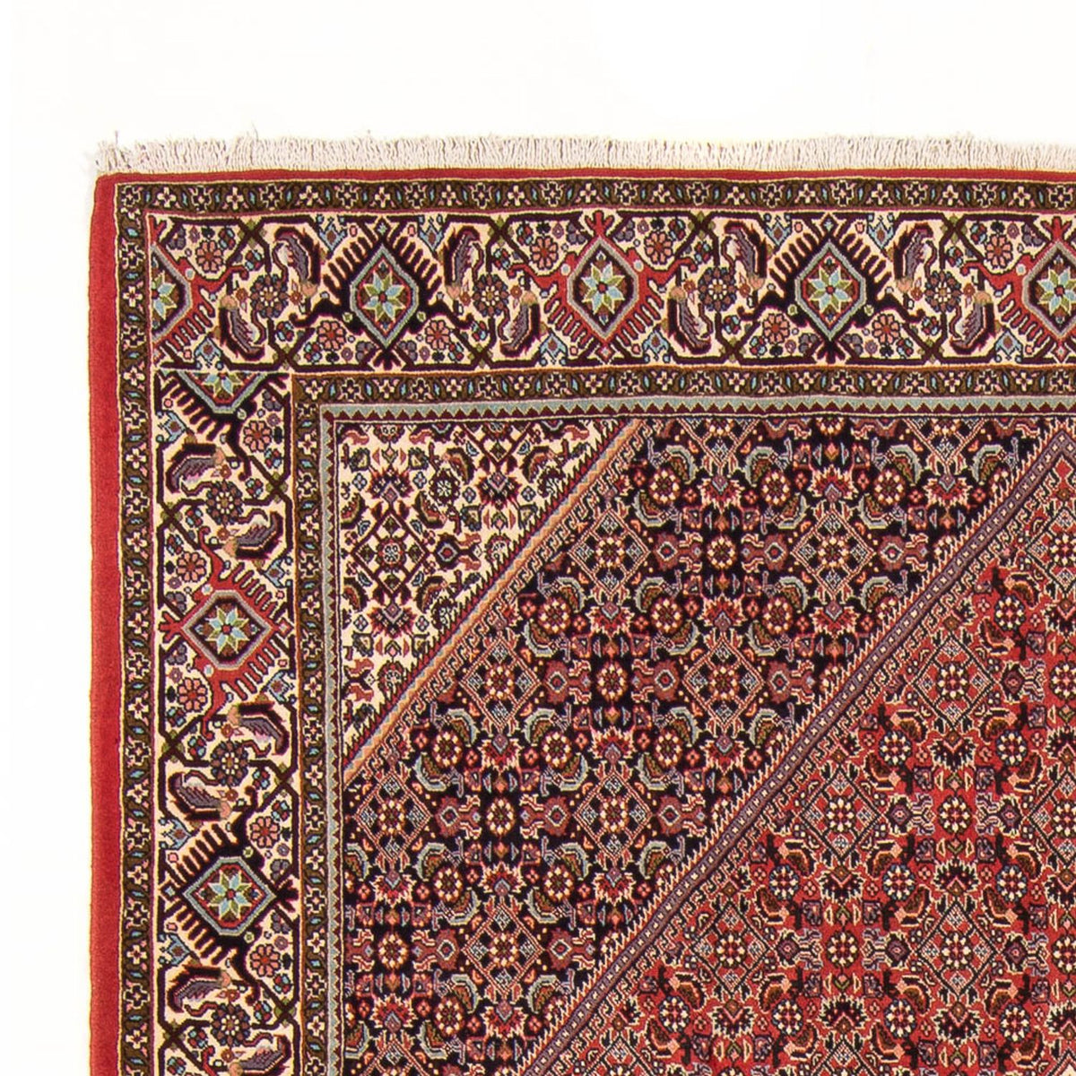 Perserteppich - Bidjar - Royal - 294 x 200 cm - rot