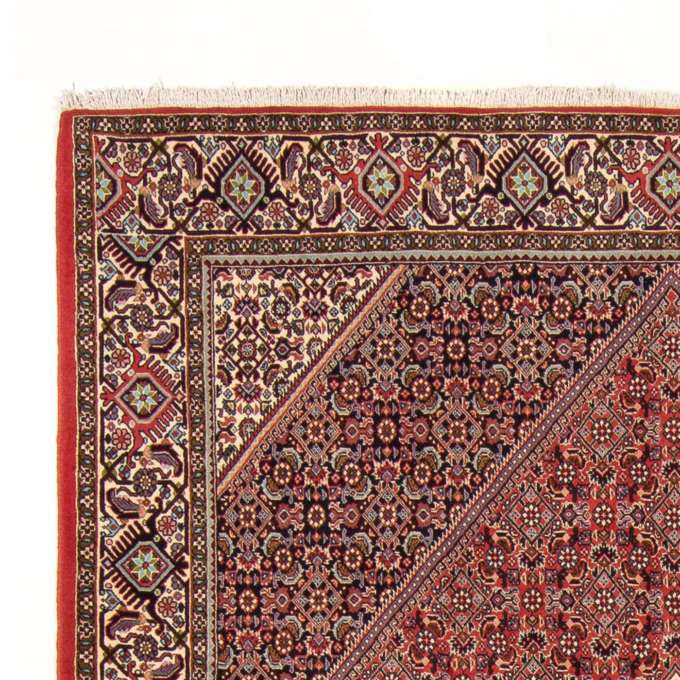 Bidjar - Bukan Teppich 294x200cm - Perserteppich
