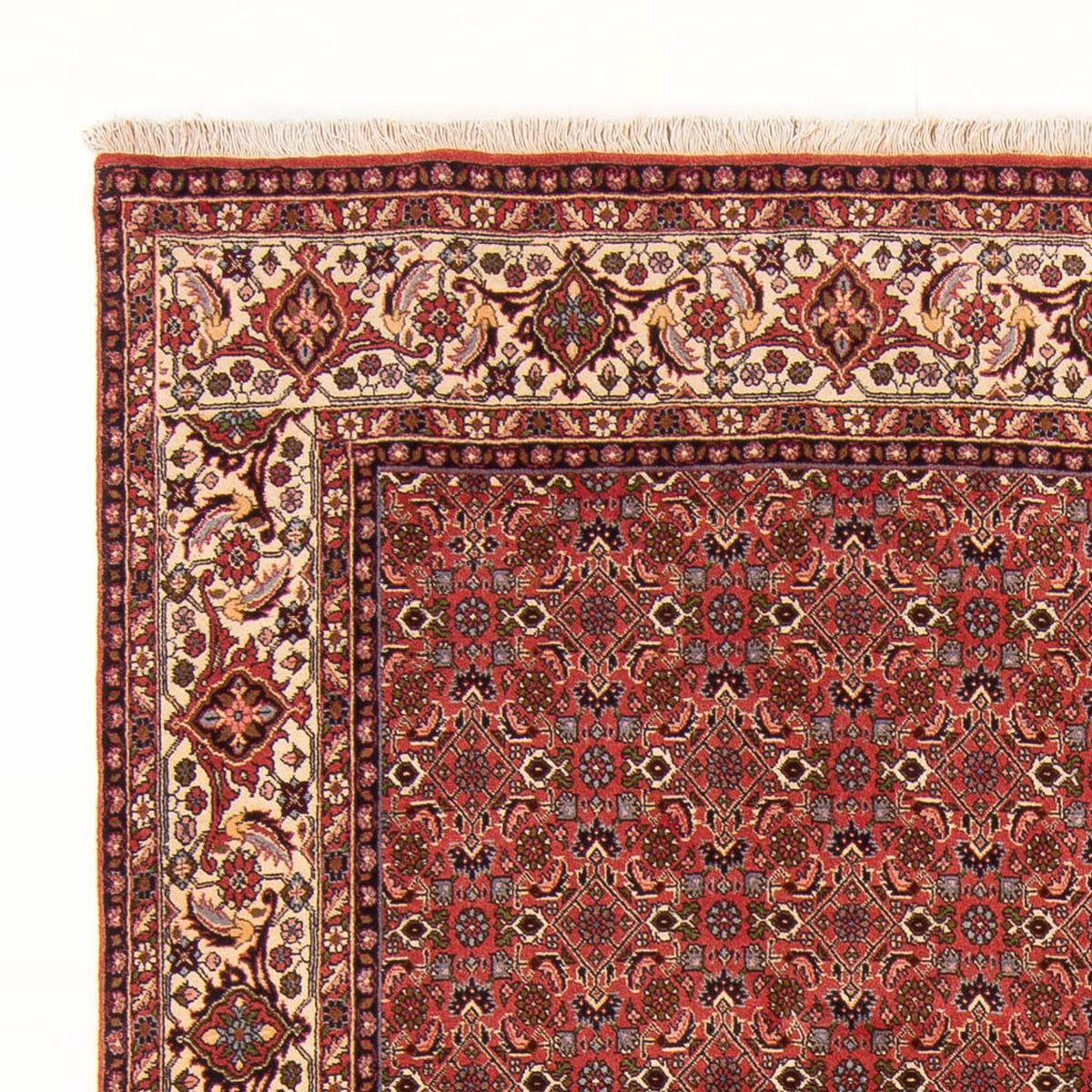 Perserteppich - Bidjar - Royal - 289 x 195 cm - rot