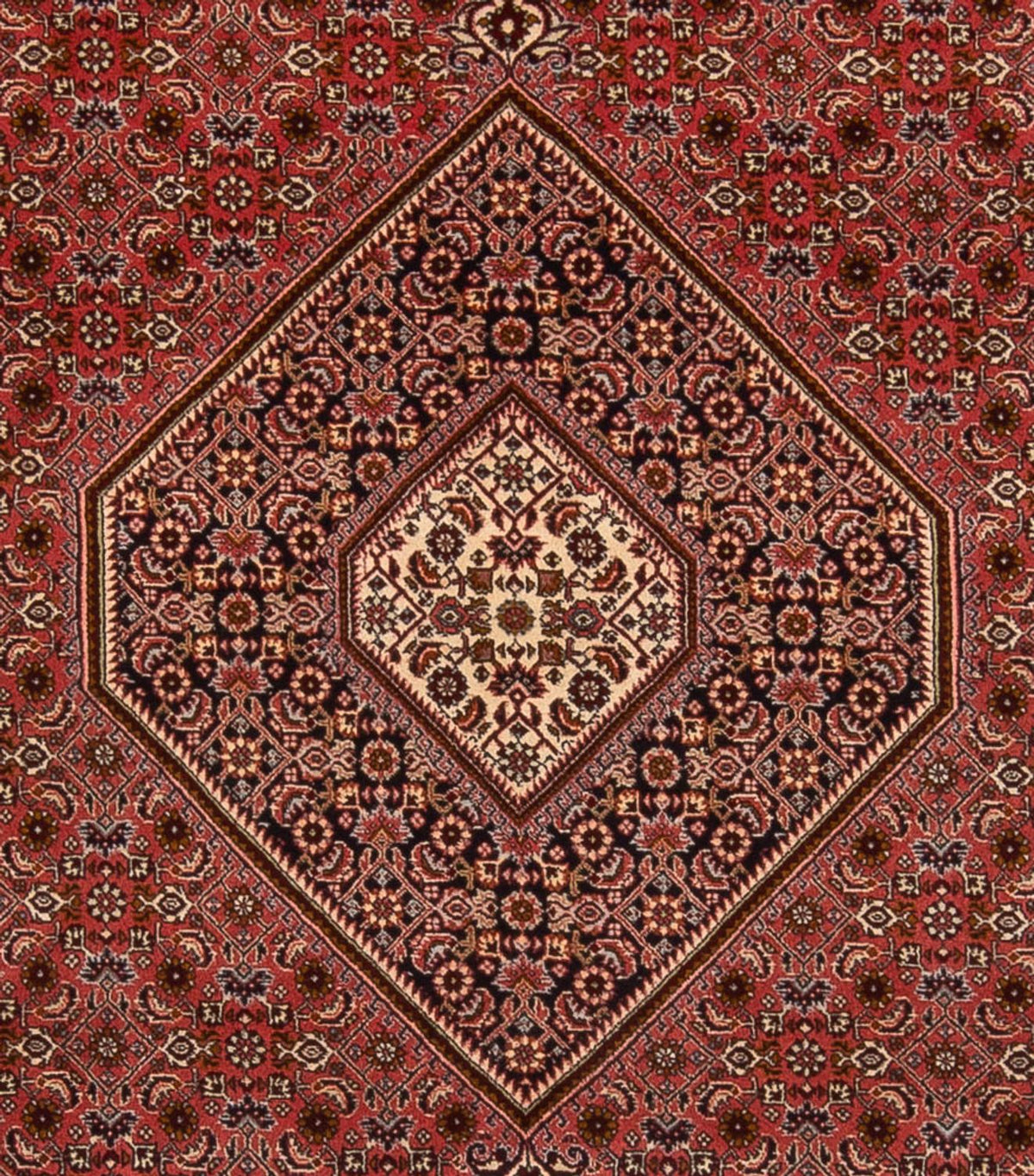 Perserteppich - Bidjar - Royal - 350 x 250 cm - dunkelrot