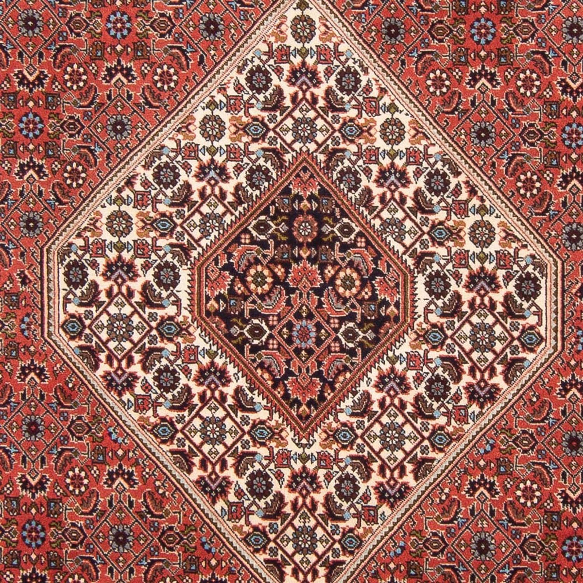 Perserteppich - Bidjar - Royal - 288 x 200 cm - rot