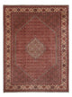 Bidjar - Bukan Teppich 340x250cm - Perserteppich