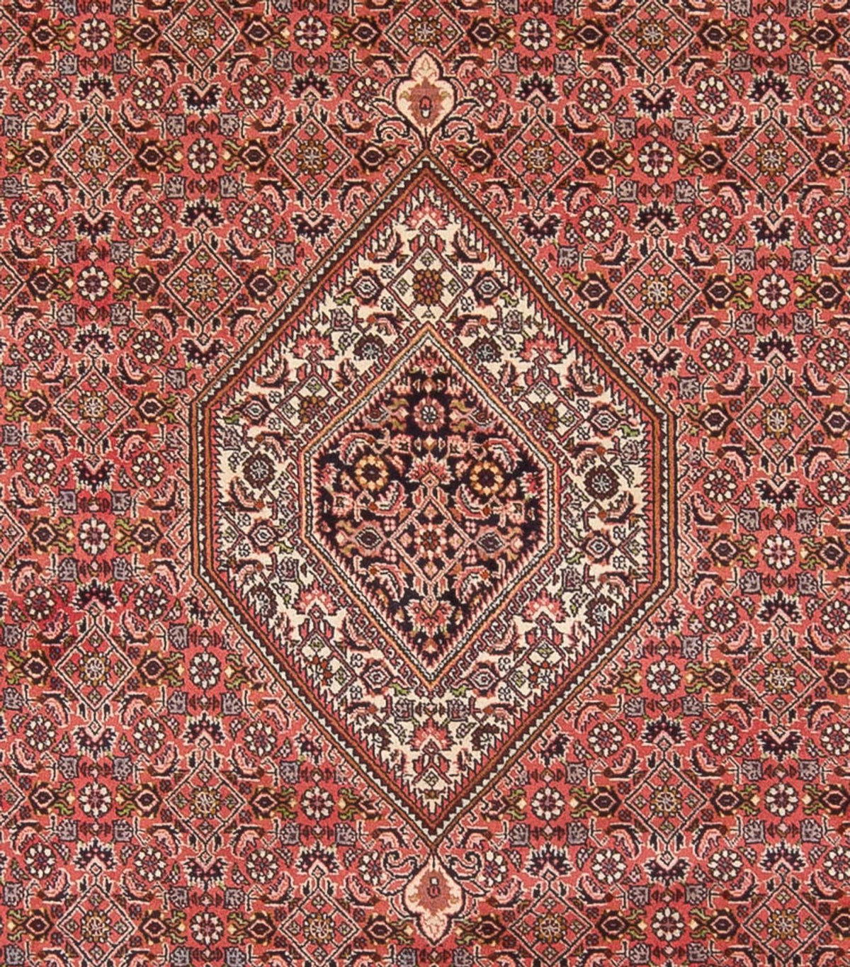 Perserteppich - Bidjar - Royal - 342 x 250 cm - dunkelrot