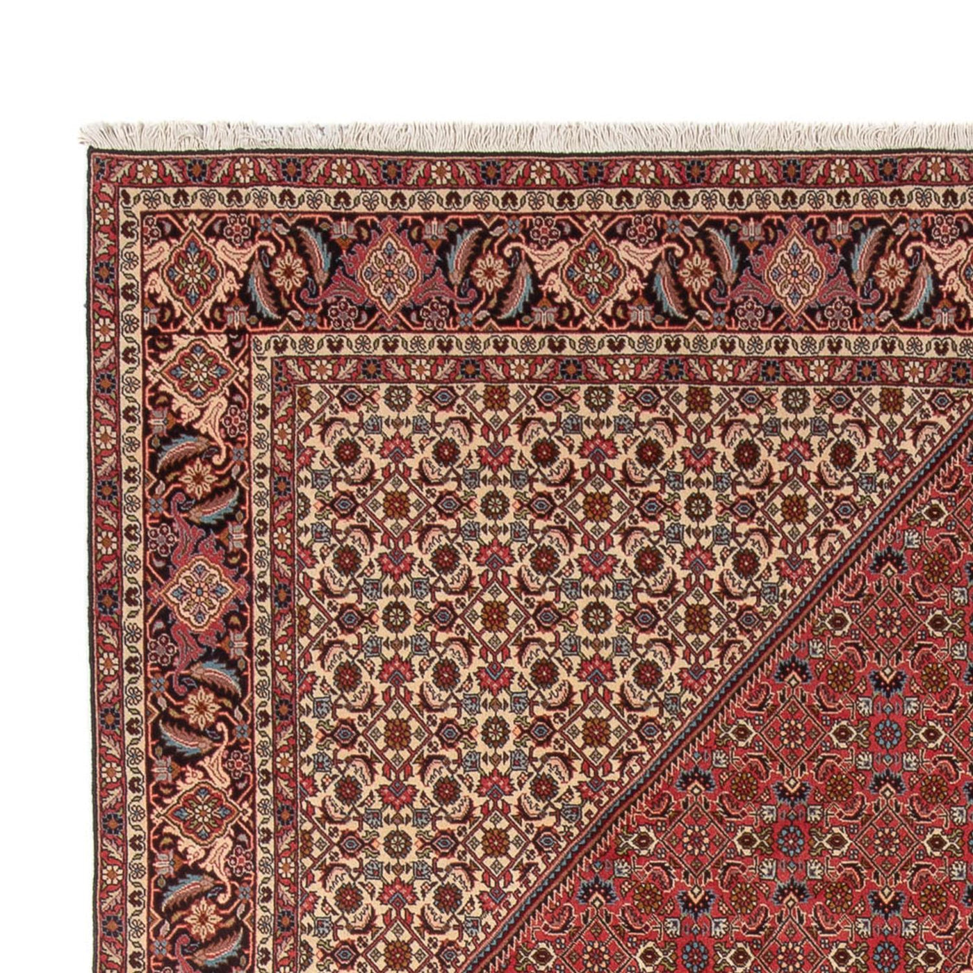 Bidjar - Bukan Teppich 348x250cm - Perserteppich