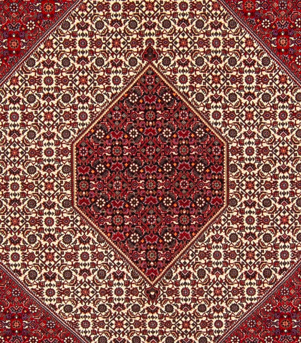 Perserteppich - Bidjar - Royal - 301 x 253 cm - creme
