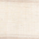 Gabbeh Teppich - Perser - 303 x 215 cm - hellbeige