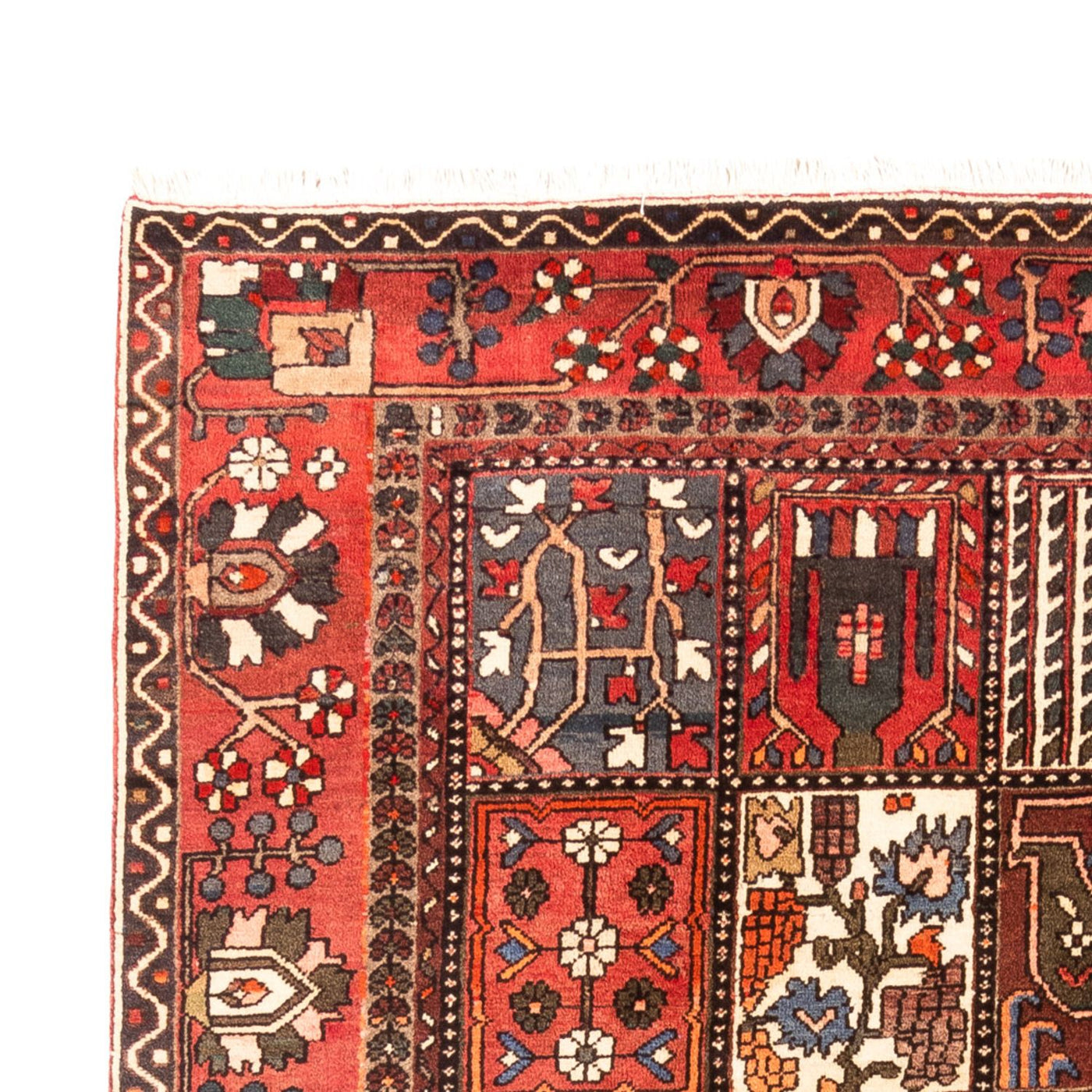 Bachtiar Teppich 314x207cm - Perserteppich