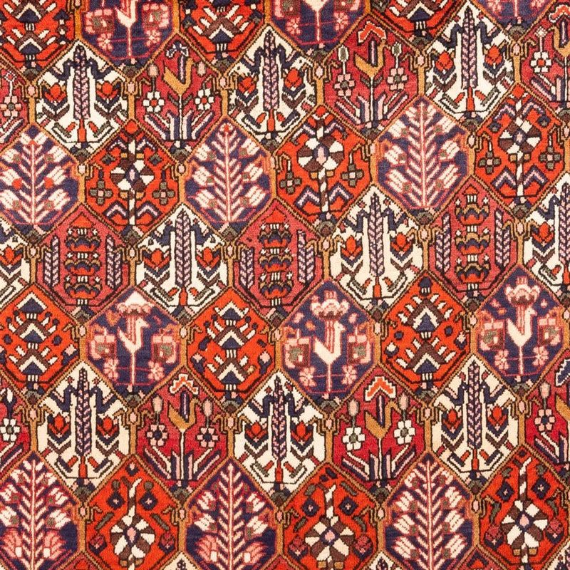 Perserteppich - Nomadic - 310 x 210 cm - rot