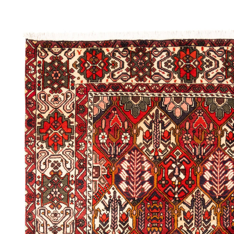 Perserteppich - Nomadic - 310 x 210 cm - rot