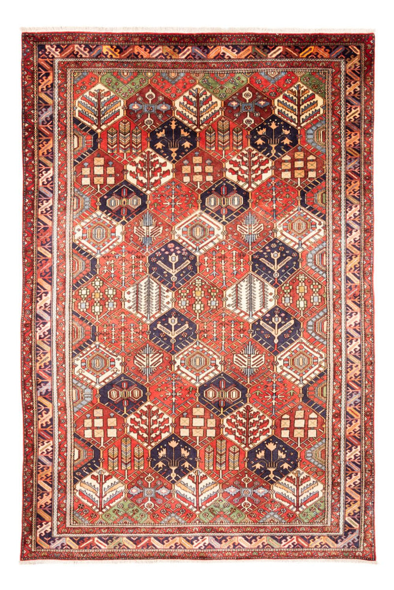 Gabbeh Teppich - Perser - 325 x 218 cm - mehrfarbig