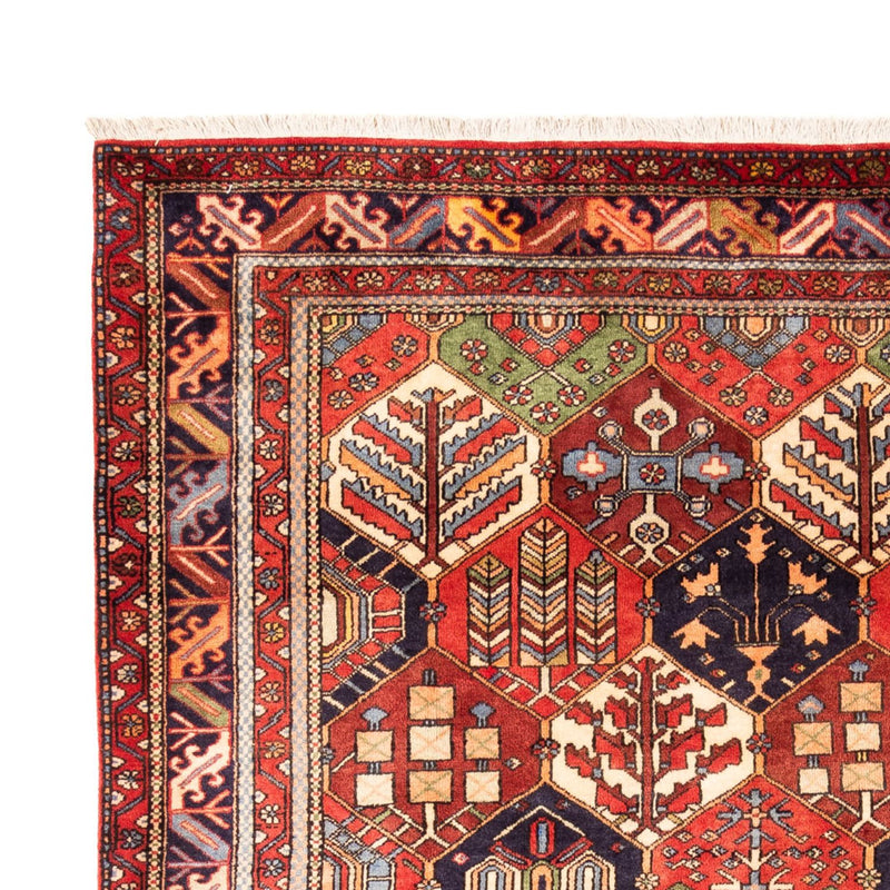 Gabbeh Teppich - Perser - 325 x 218 cm - mehrfarbig
