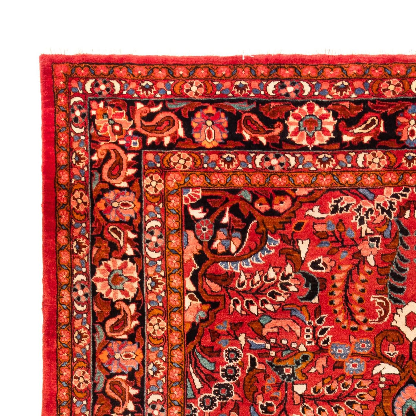 Lilian Teppich 340x227cm - Perserteppich