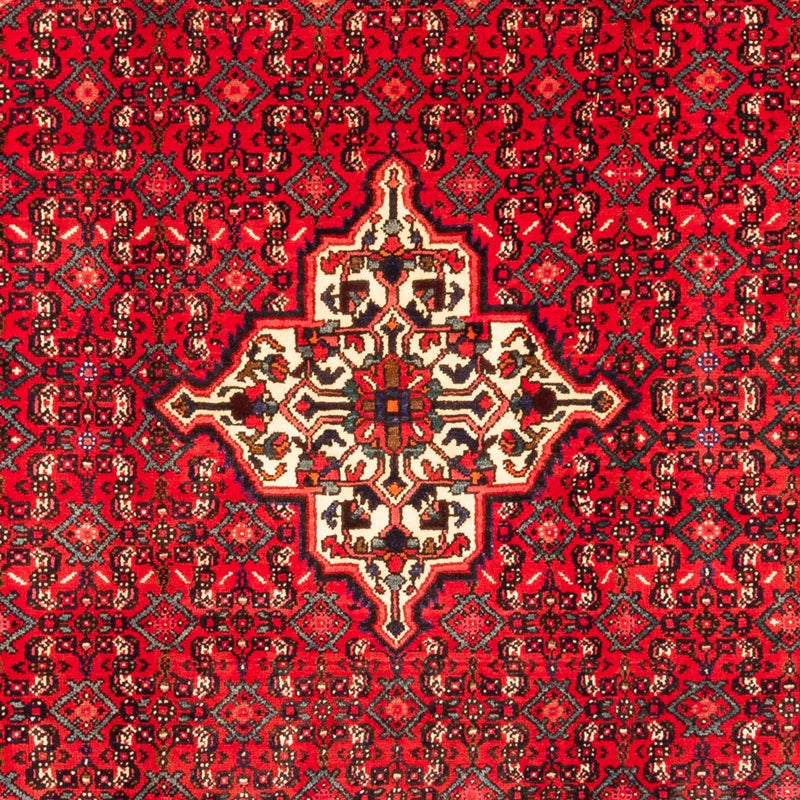 Perserteppich - Nomadic - 304 x 212 cm - rot