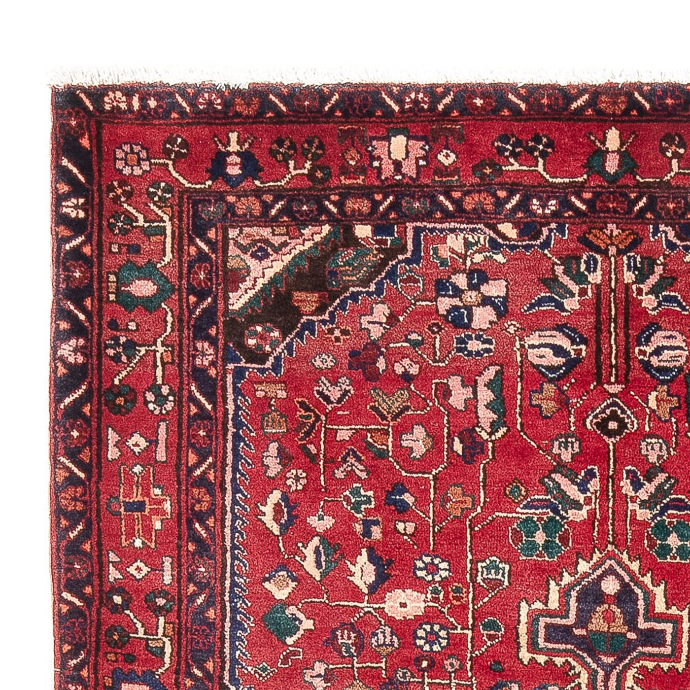 Kolyai Teppich 237x152cm - Perserteppich