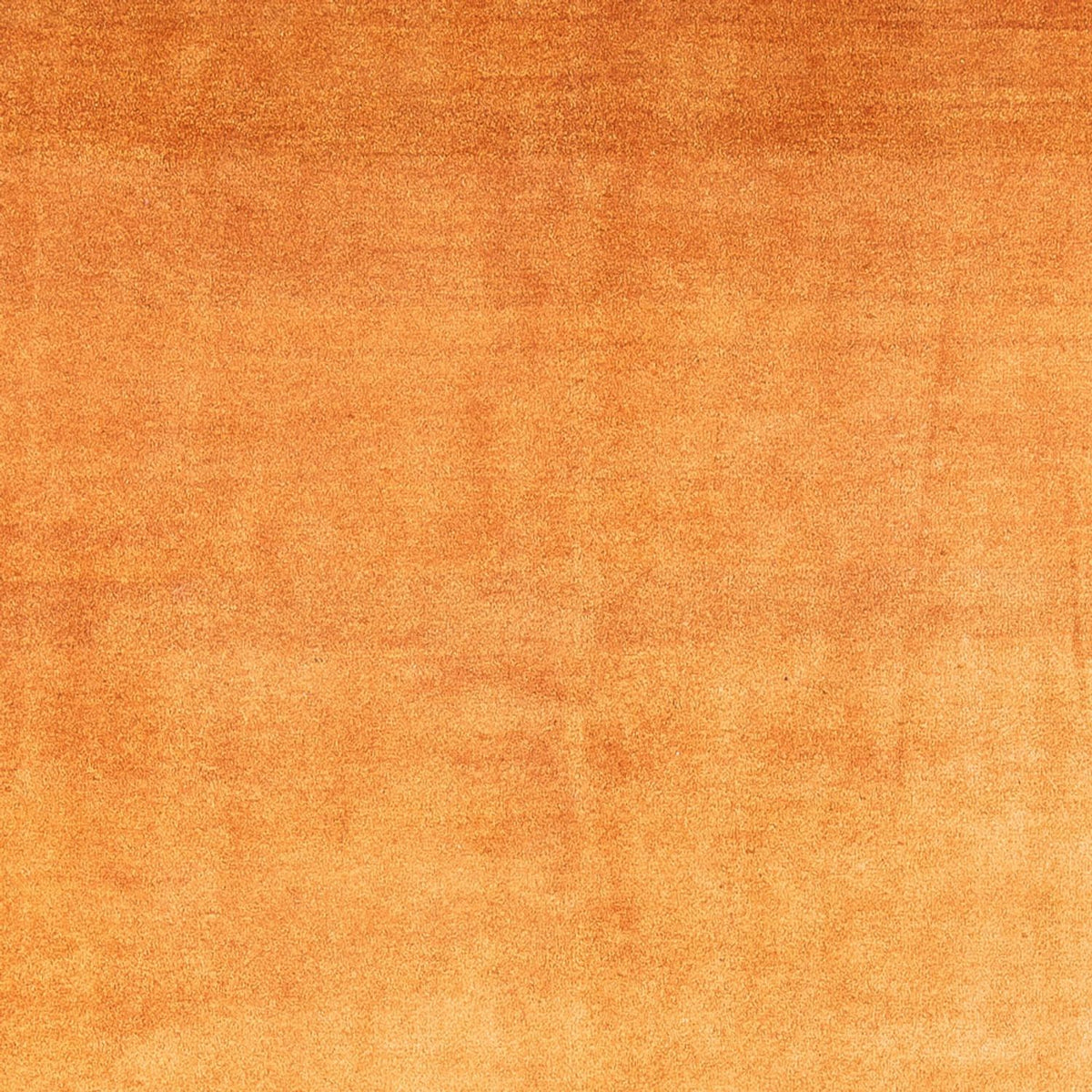 Gabbeh Teppich - Perser - 286 x 225 cm - gold