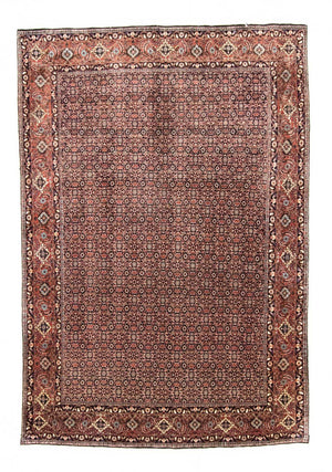 Perserteppich - Bidjar 287 x 195 cm