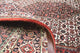 Perserteppich - Bidjar 291 x 205 cm
