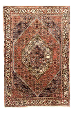 Perserteppich - Bidjar 310 x 202 cm