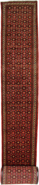 Läufer Perser - Nomadic - 980 x 80 cm - rost