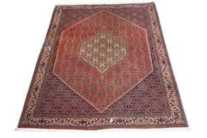 Perserteppich - Bidjar 255 x 200 cm - braun