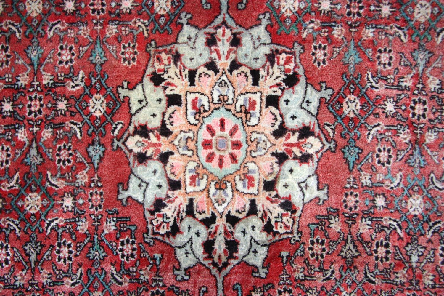 Perserteppich - Bidjar 245 x 144 cm - braun