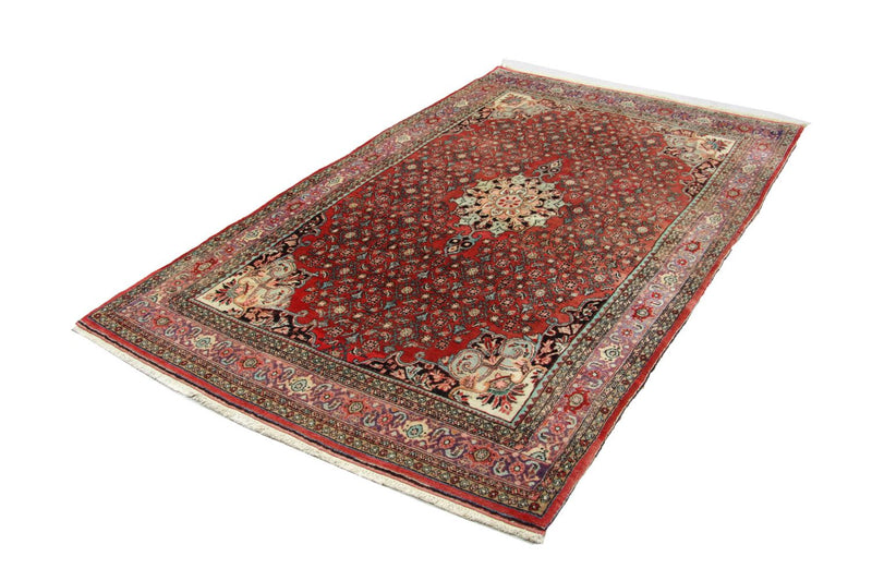 Perserteppich - Bidjar 245 x 144 cm - braun