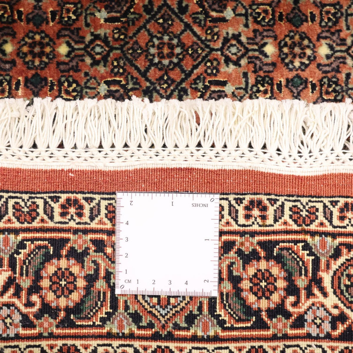 Perserteppich - Bidjar - 151 x 87 cm - dunkelbeige