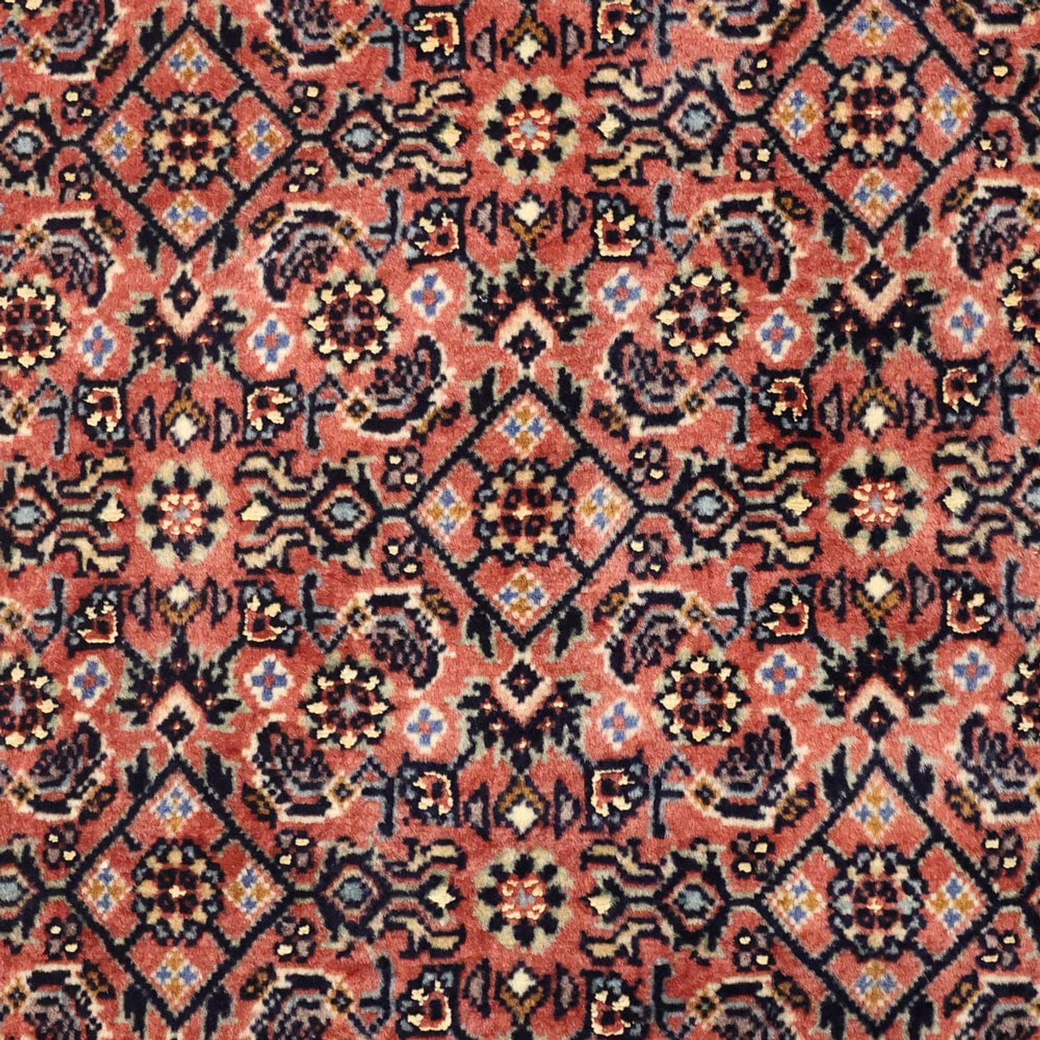 Perserteppich - Bidjar - 141 x 70 cm - rost
