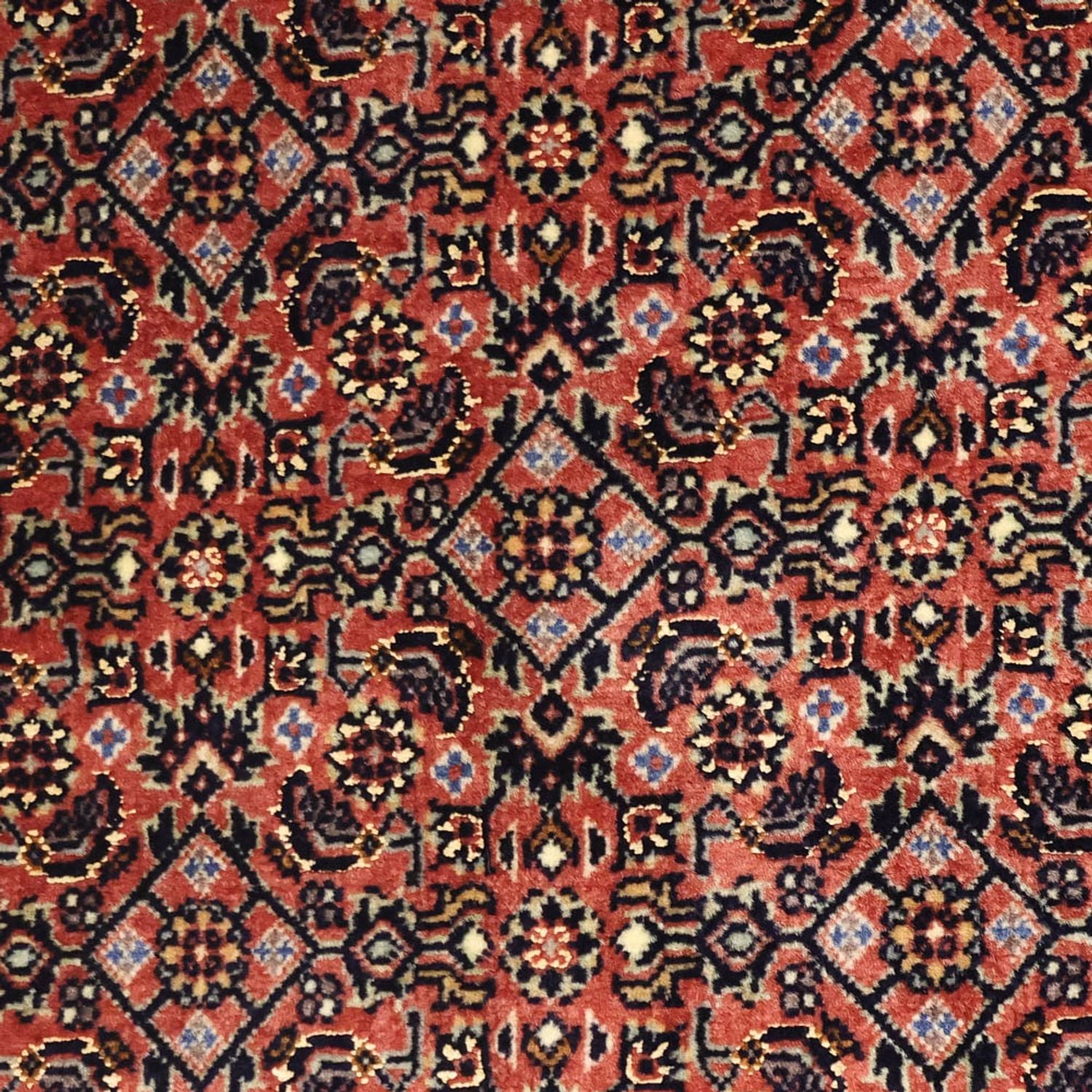 Perserteppich - Bidjar - 148 x 90 cm - rost
