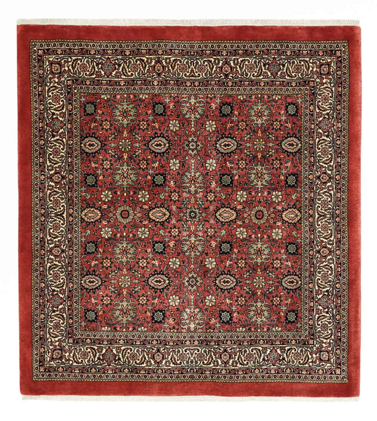 Perserteppich - Bidjar - Royal - 163 x 153 cm - dunkelrot