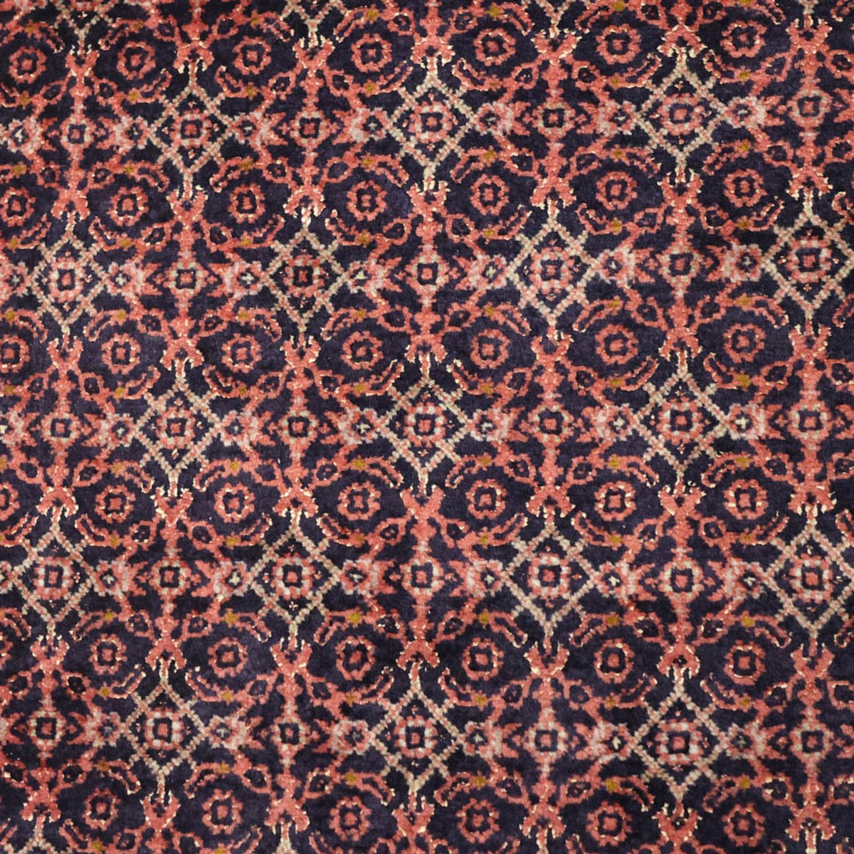 Perserteppich - Bidjar - 150 x 85 cm - rost