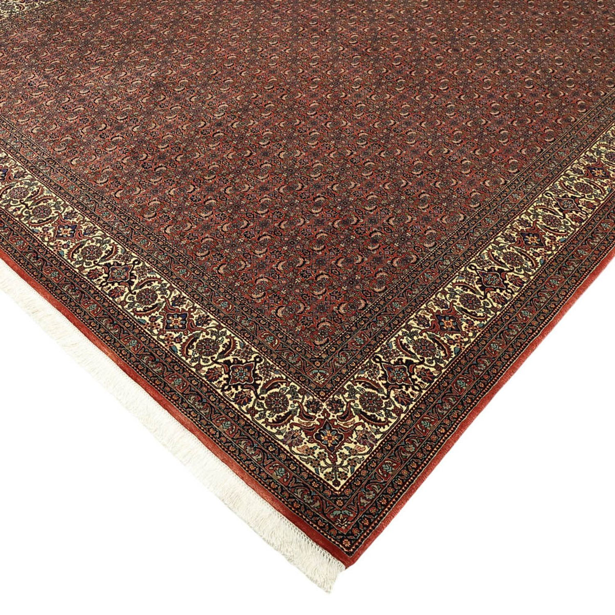 Perserteppich - Bidjar - Royal - 350 x 256 cm - dunkelrot
