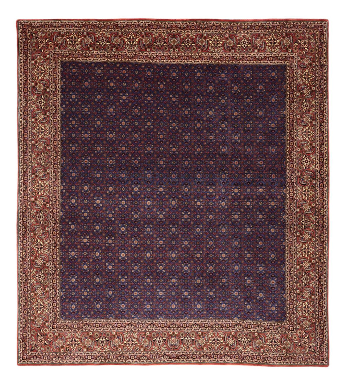 Perserteppich - Bidjar - Royal - 286 x 255 cm - dunkelblau