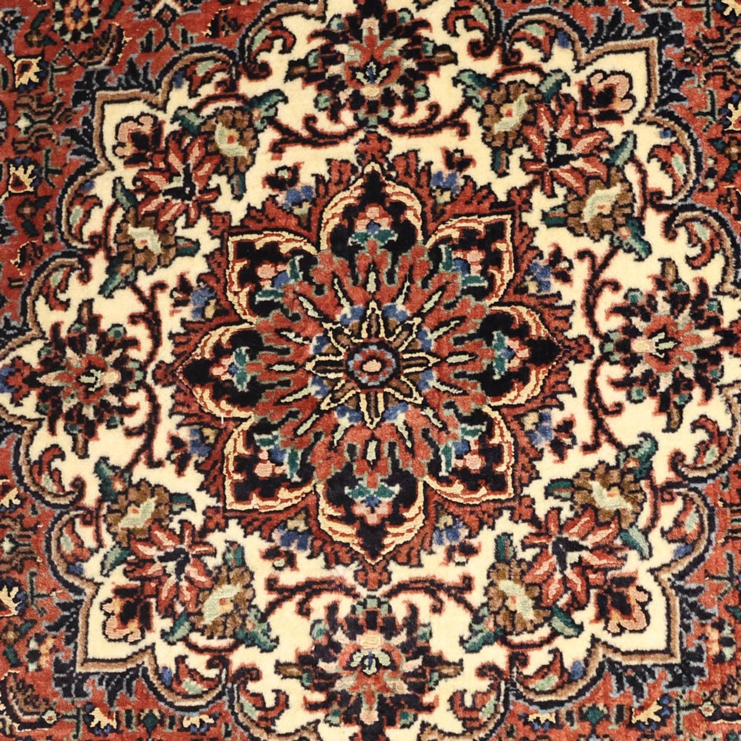 Perserteppich - Bidjar - 146 x 92 cm - rost