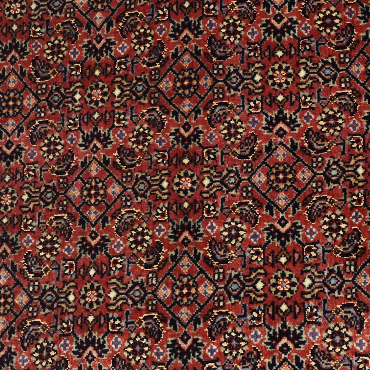 Perserteppich - Bidjar - Royal - 148 x 91 cm - dunkelbeige