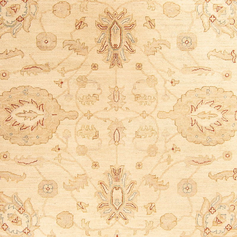 Ziegler Teppich 307 x 212 cm