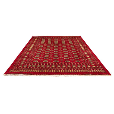 Pakistan Teppich 248x320cm - Orientteppich