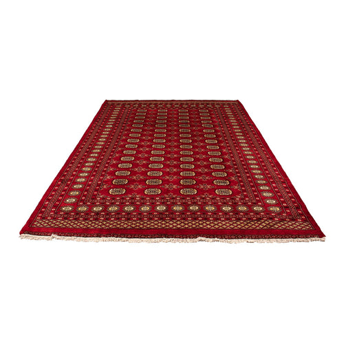 Pakistan Teppich 307 x 208 cm