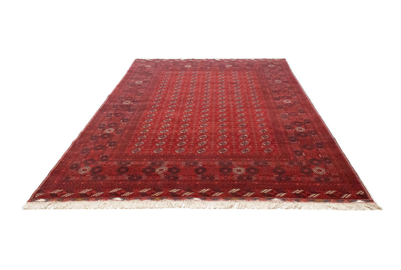 Afghan Teppich - Buchara 299 x 198 cm - dunkelrot