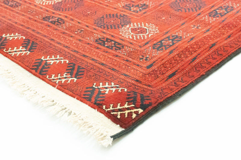Afghan Teppich - Buchara 295 x 192 cm - dunkelbraun