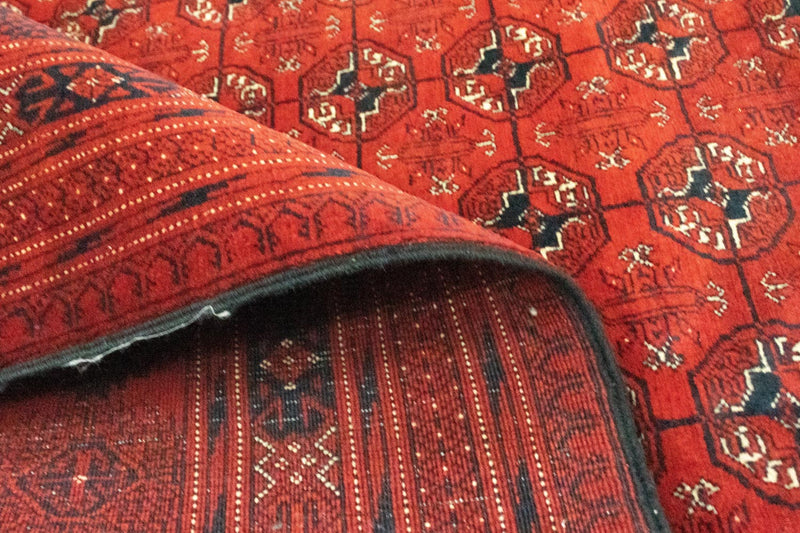 Afghan Teppich - Buchara 295 x 192 cm - dunkelbraun