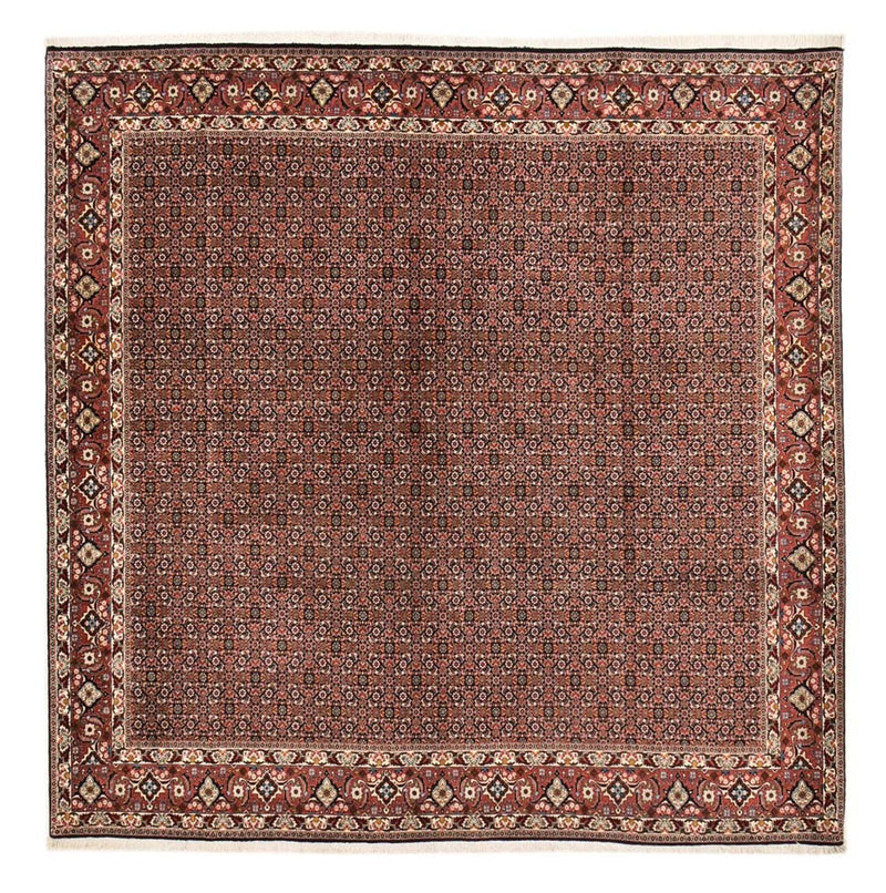Perserteppich - Bidjar quadratisch  - 303 x 293 cm - rost