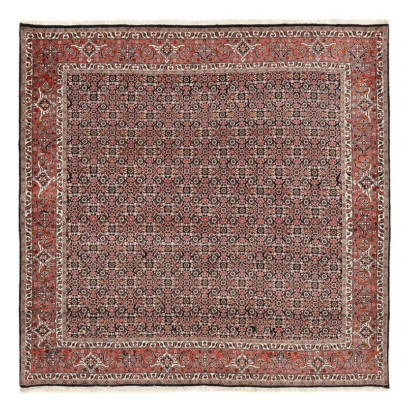 Perserteppich - Bidjar quadratisch  - 205 x 205 cm - rost