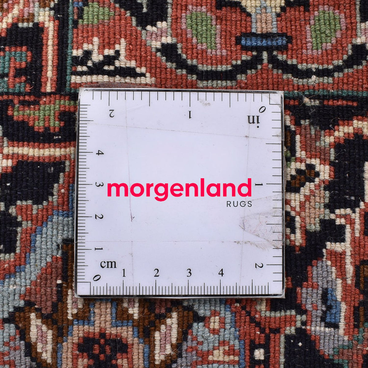 Perserteppich - Bidjar - 243 x 210 cm - hellbraun