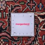 Perserteppich - Bidjar rund  - 250 x 250 cm - rost