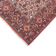 Perserteppich - Bidjar - 345 x 254 cm - rost