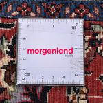 Perserteppich - Bidjar - 305 x 203 cm - rost