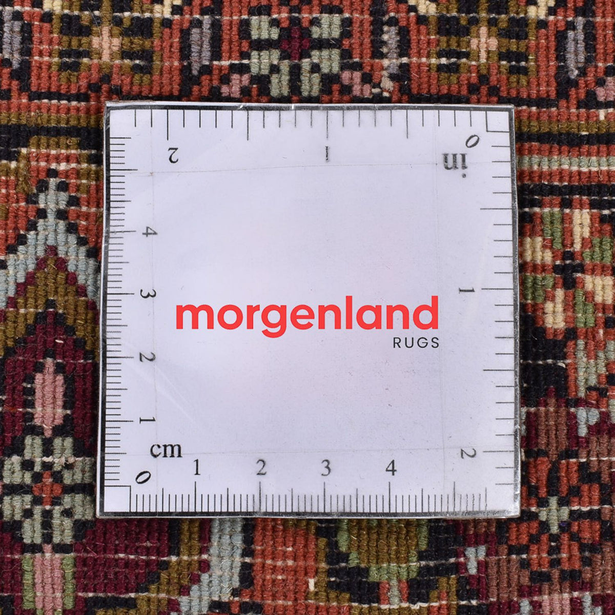 Perserteppich - Bidjar - 251 x 150 cm - rost