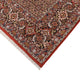 Perserteppich - Bidjar - 405 x 302 cm - rost