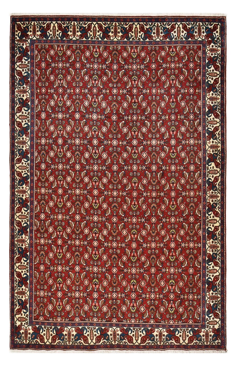 Perserteppich - Bidjar - 316 x 204 cm - dunkelrot